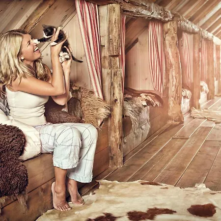 Brimi Seter Gospodarstwo agroturystyczne