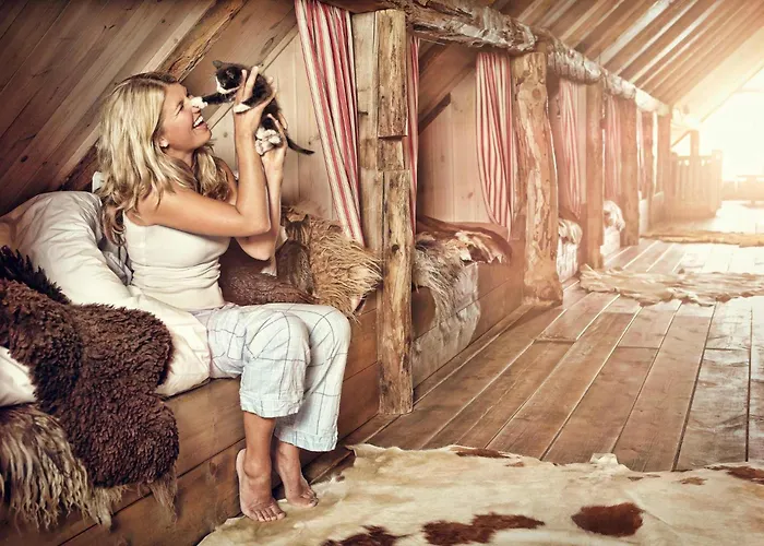 Brimi Seter Gospodarstwo agroturystyczne